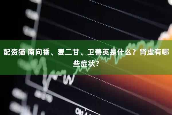 配资猫 南向番、麦二甘、卫善英是什么？肾虚有哪些症状？