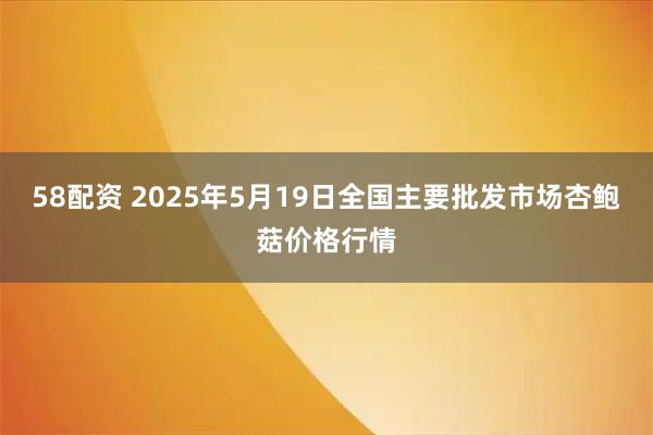 58配资 2025年5月19日全国主要批发市场杏鲍菇价格行情