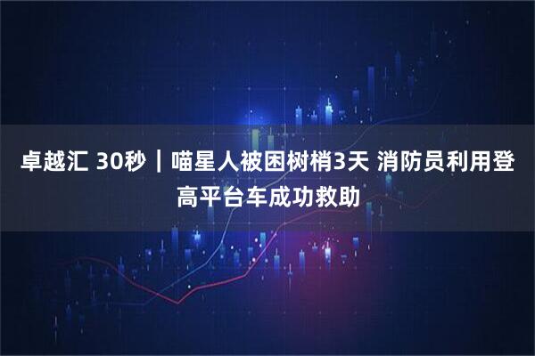卓越汇 30秒｜喵星人被困树梢3天 消防员利用登高平台车成功救助
